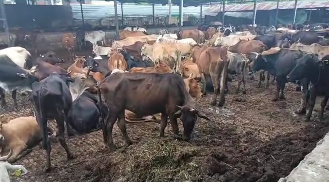 कांजी हाउस मामले में मंत्री सौरभ बहुगुणा नाराज़
