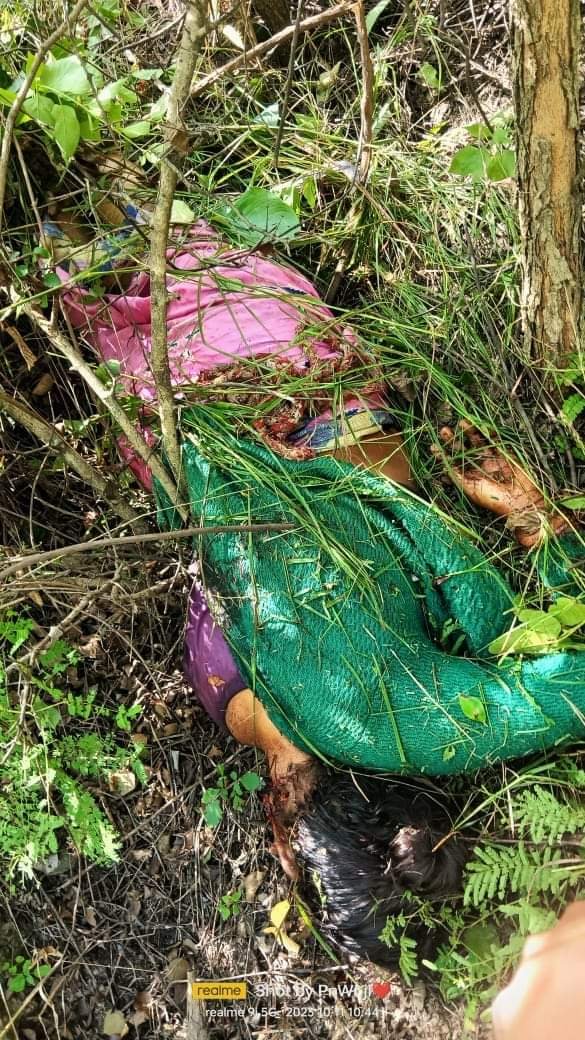 कीर्तिनगर में गुलदार का आतंक महिला को बनाया निवाला
