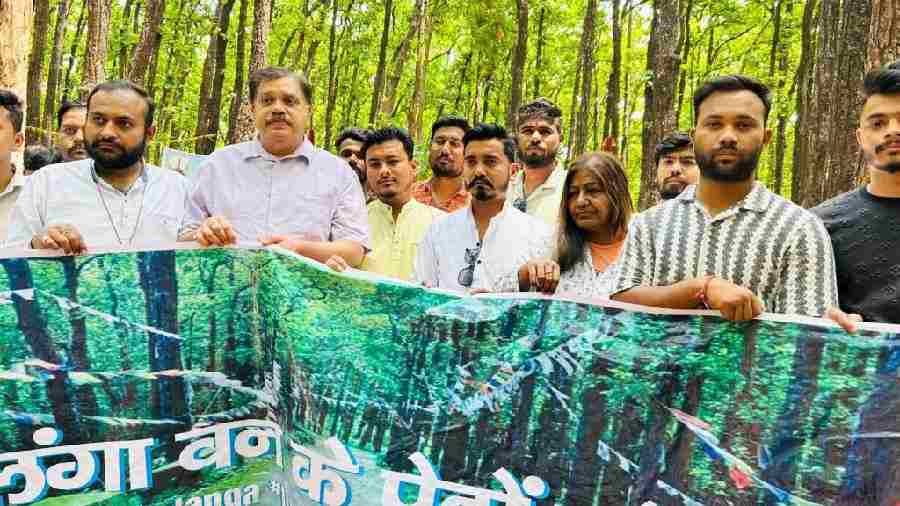 खंगला में कटे हजारों पेड़, कांग्रेस का आक्रोश