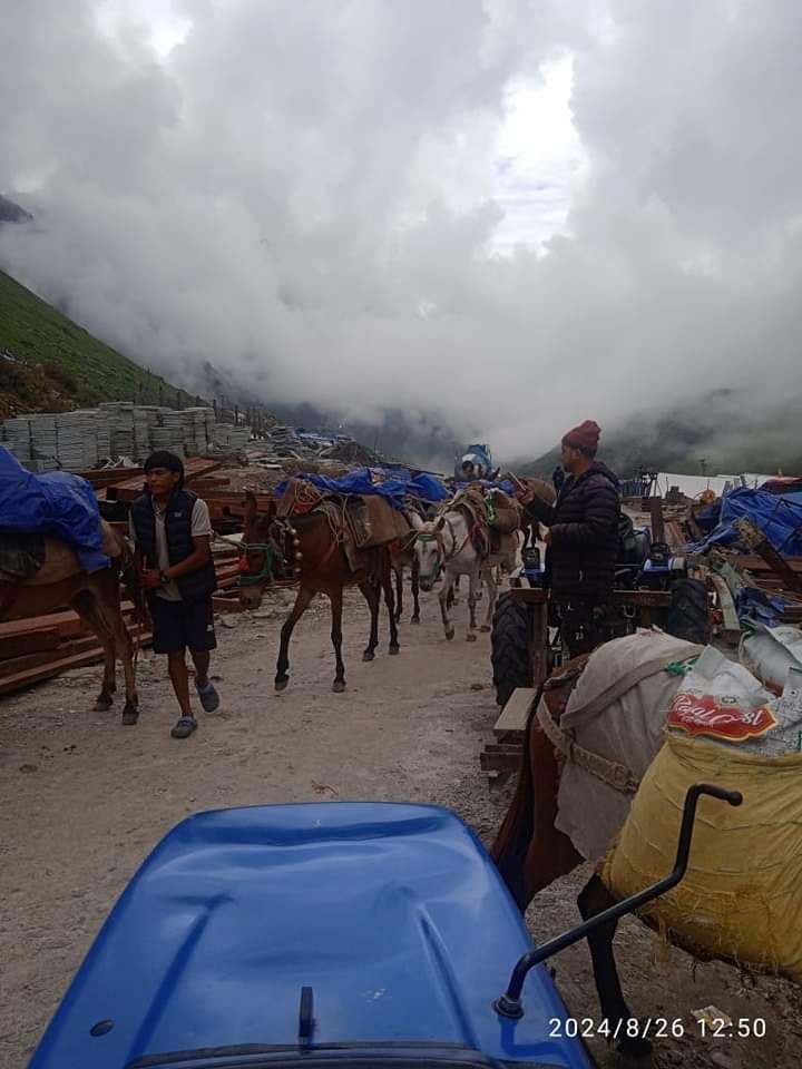 घोड़े खच्चरों के लिए खुला केदारनाथ रूट