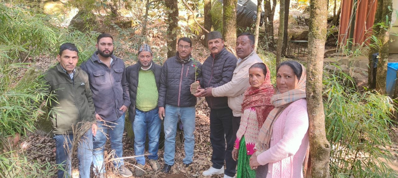 कर्मचारी महासंघ ने आंदोलन के 150 वें दिन लगाए 150 पौधे