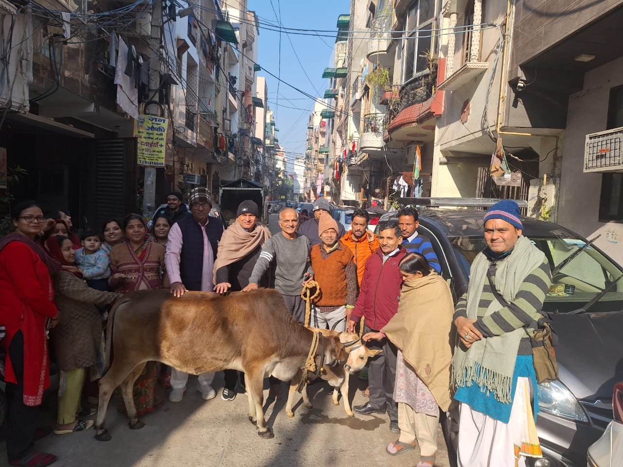 प्रयागराज महाकुंभ में बताई जाएगी उत्तराखंड की बद्री गाय की अहमियत