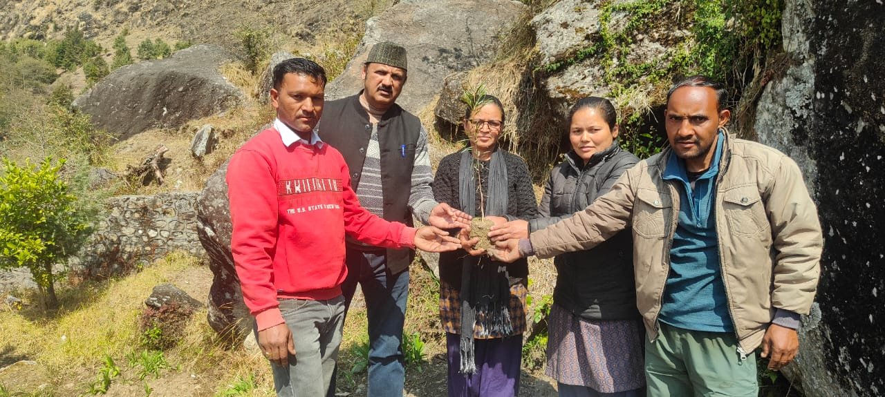 नियमितीकरण के लिए 246 दिन से आंदोलन आज बिर्थी में पौधारोपण