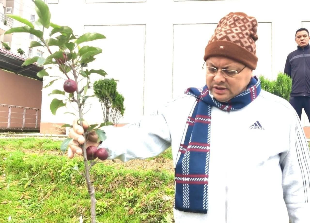 सीएम धामी ने भराड़ीसैंण में सुबह सैर की और सेब के पौधों का निरीक्षण किया