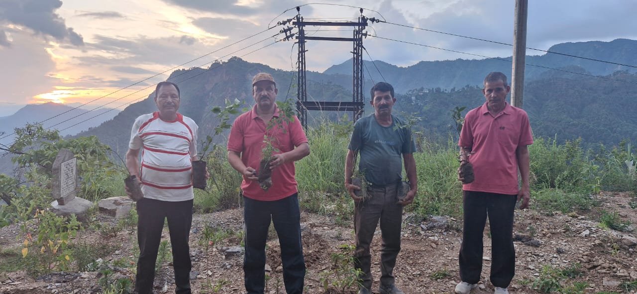 कर्मचारी महासंघ ने 372 दिन के आंदोलन में लगाए 56000 से ज्यादा पौधे
