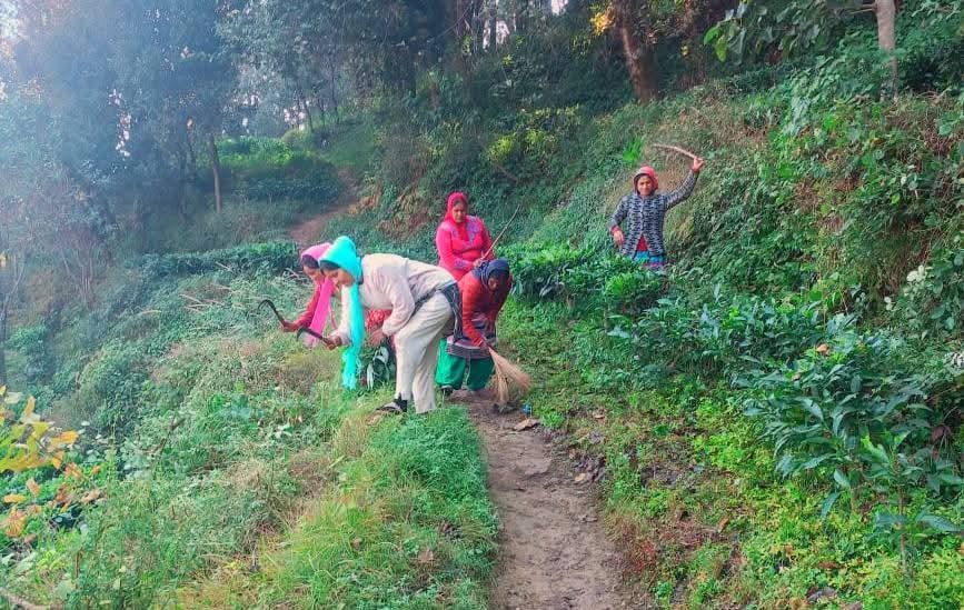 चमोली में भालू के हमलों से निपटने के उपाय