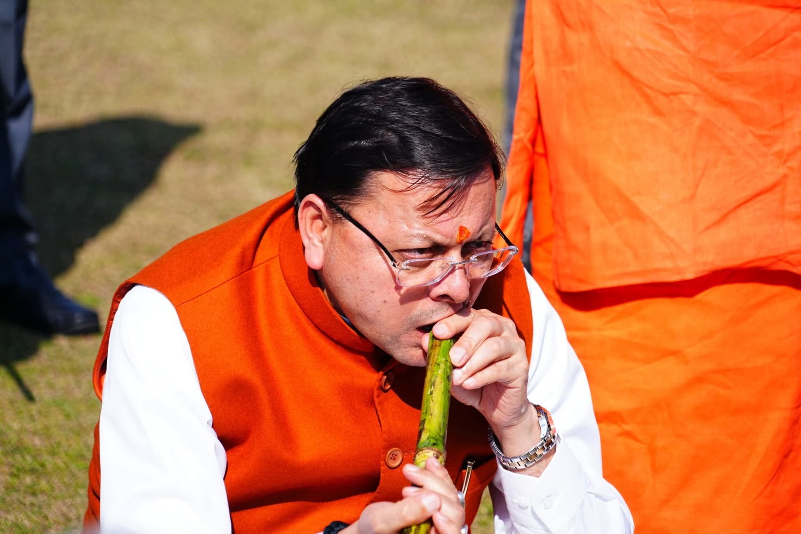 धामी सरकार ने गन्ना समर्थन मूल्य में किया 30 रुपये का इजाफा