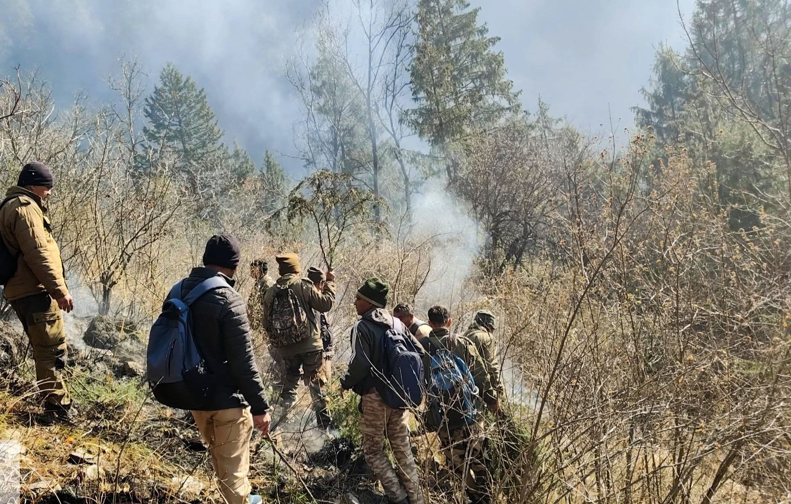 चमोली के गोविंदघाट रेंज के जंगलों में आग