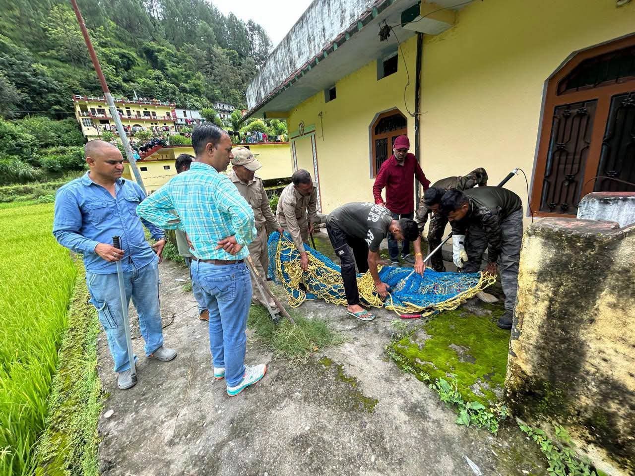 चमोली के नारायणबगड़ में आवारा कुत्तों को पकड़ने का काम जारी