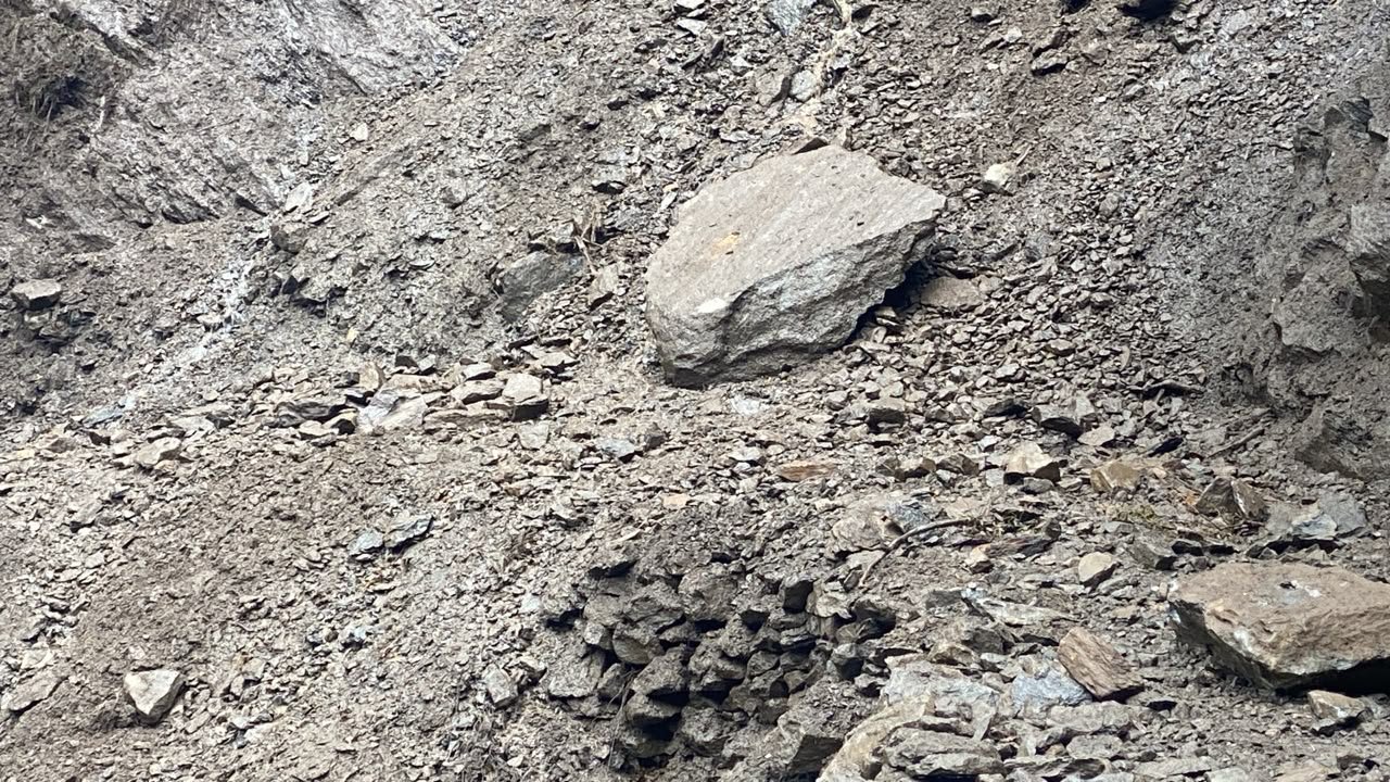 मलबा-पत्थर आने से चीरवासा के पास केदारनाथ पैदल मार्ग अवरुद्ध, आज सोनप्रयाग/गौरीकुण्ड से आगे नहीं भेजे जाएंगे यात्री मलबा-पत्थर आने से चीरवासा के पास केदारनाथ पैदल मार्ग अवरुद्ध, आज सोनप्रयाग/गौरीकुण्ड से आगे नहीं भेजे जाएंगे यात्री